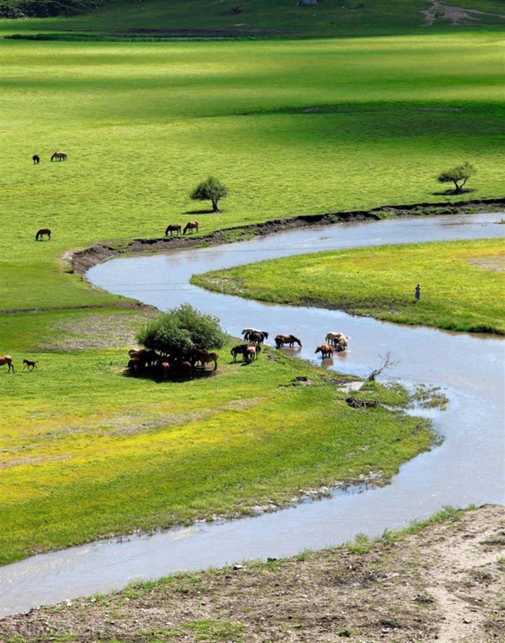 Mongolia Horyzonty Męskości